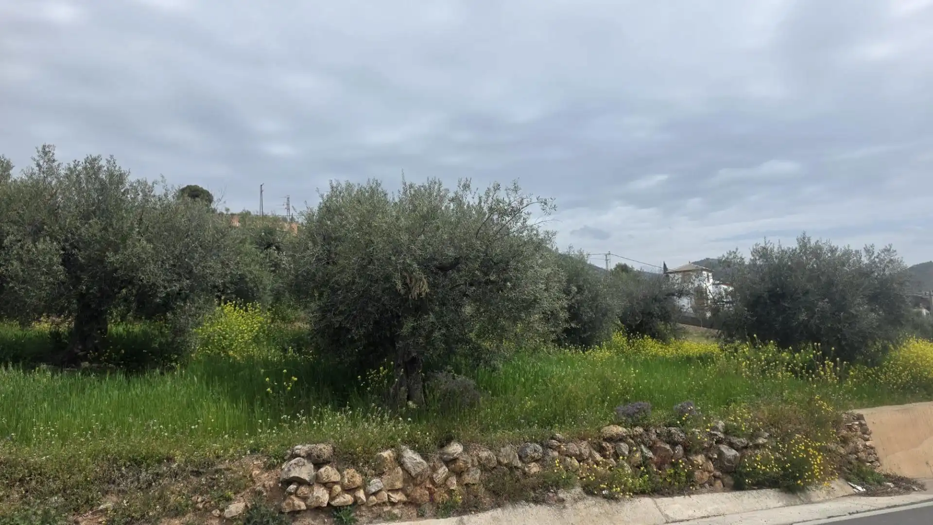 Country homes for sale in Laujar de Andarax