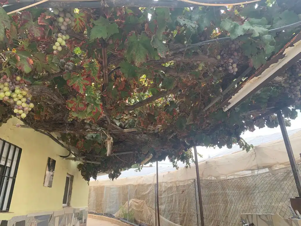 Haus zum Verkauf in Calle Camino de los Llanos 22B, imagen 3
