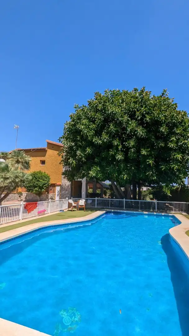 Swimming pool of Houses for sale in Elche / Elx  with Private garden, Storage room and Swimming Pool