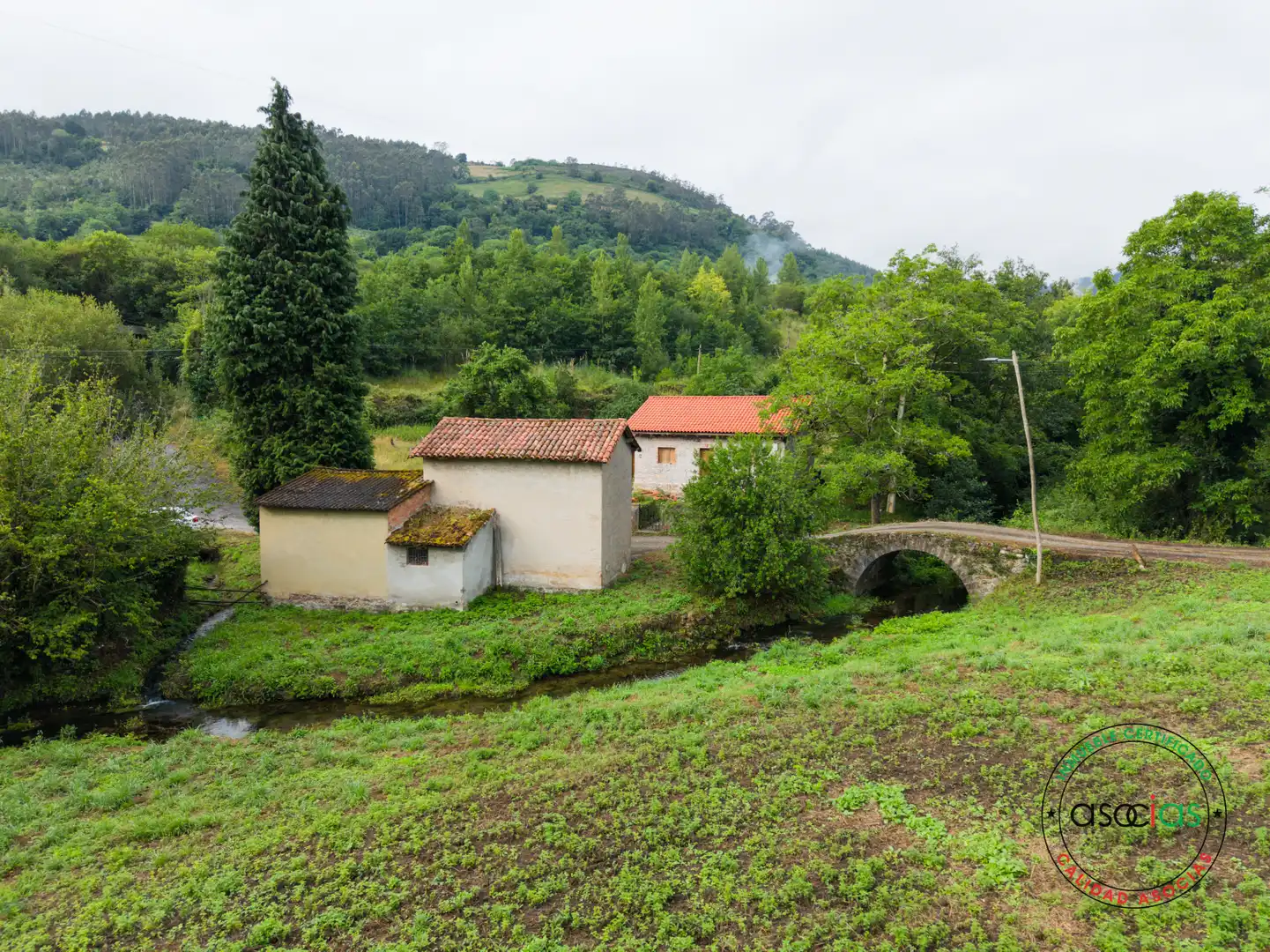Terreno rustico in vendita a Villaviciosa - Polígono 136 Parcela 72 CUADRO L. VILLAVICIOSA ASTURIAS, imagen 31