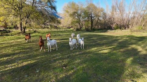 Foto 3 von Grundstücke zum Verkauf in N/a, -1, El Torno , Cáceres