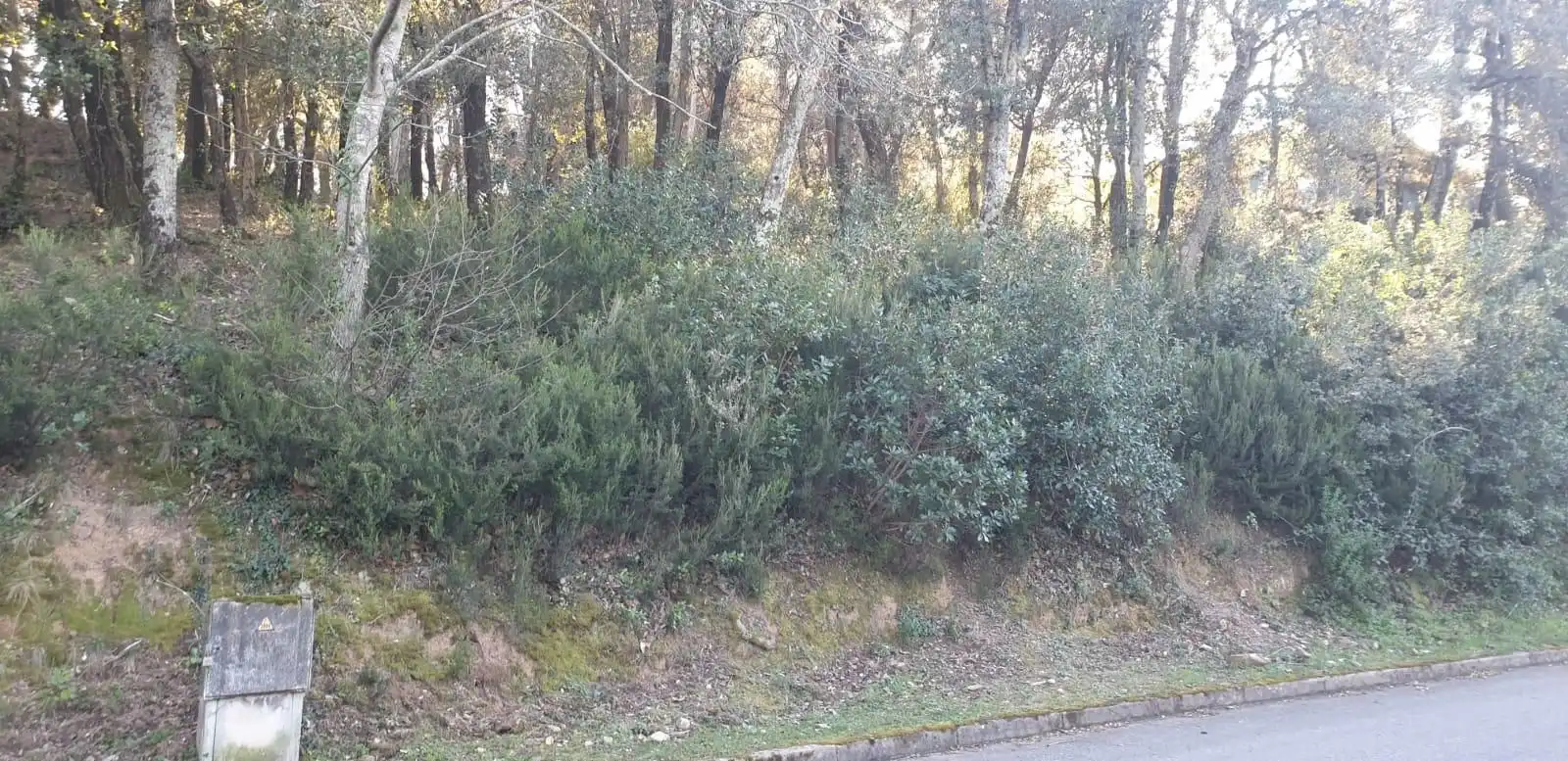 Residencial en venta en Sant Feliu de Buixalleu