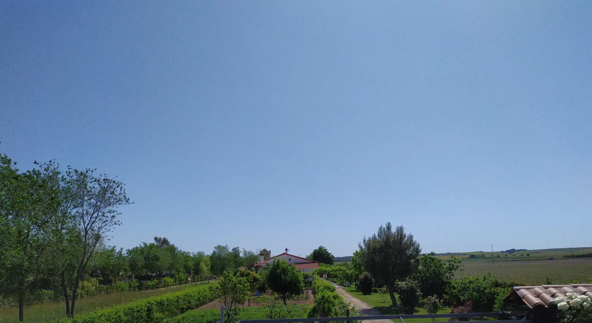 Xalet amb piscina en venda a Fuente El Saz de Jarama, imagen 49