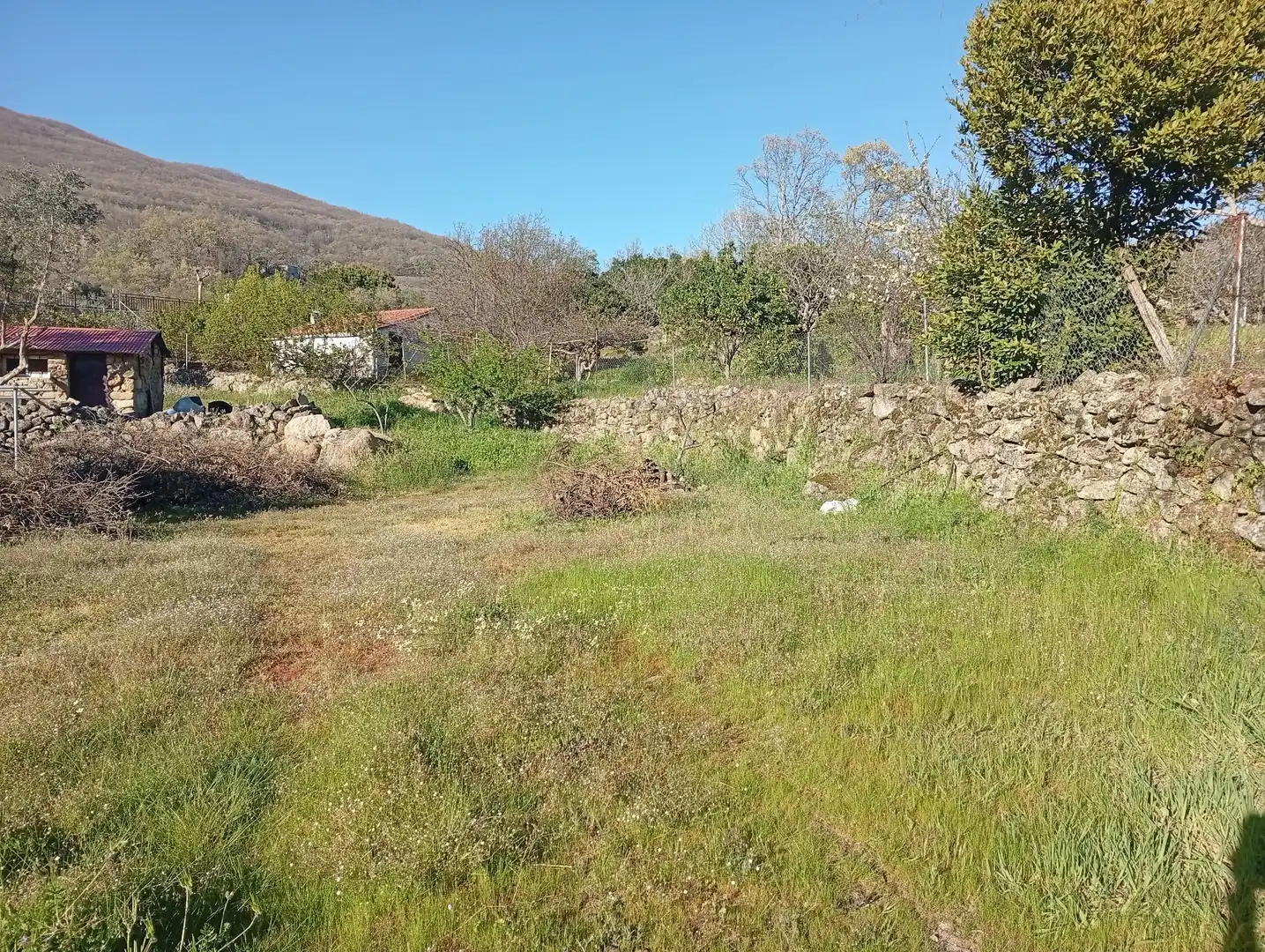 Terreno en venta en Valverde de la Vera