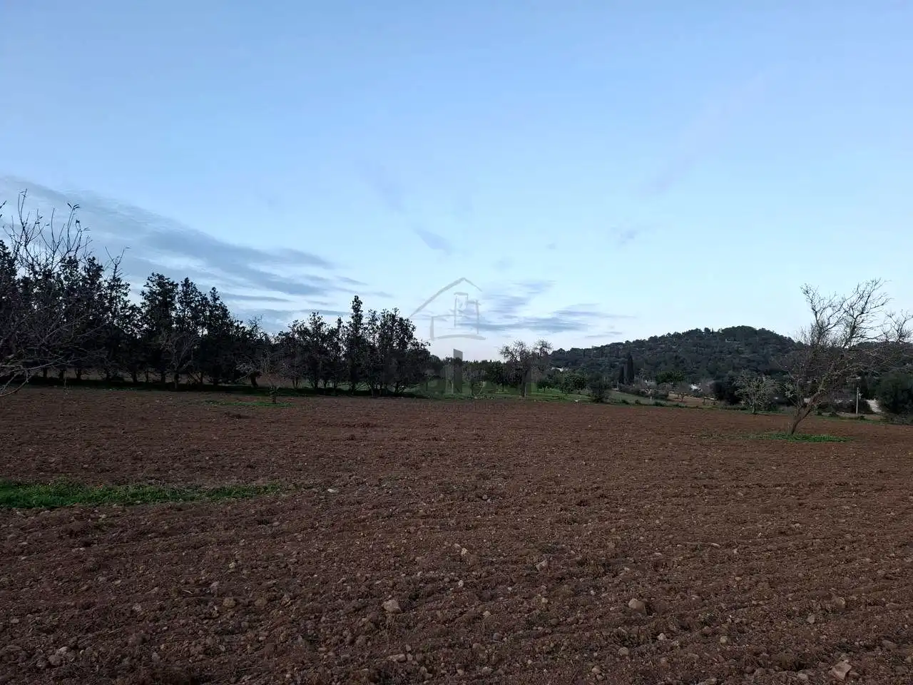 Rustikales Grundstück zum Verkauf in Felanitx Poble, imagen 11