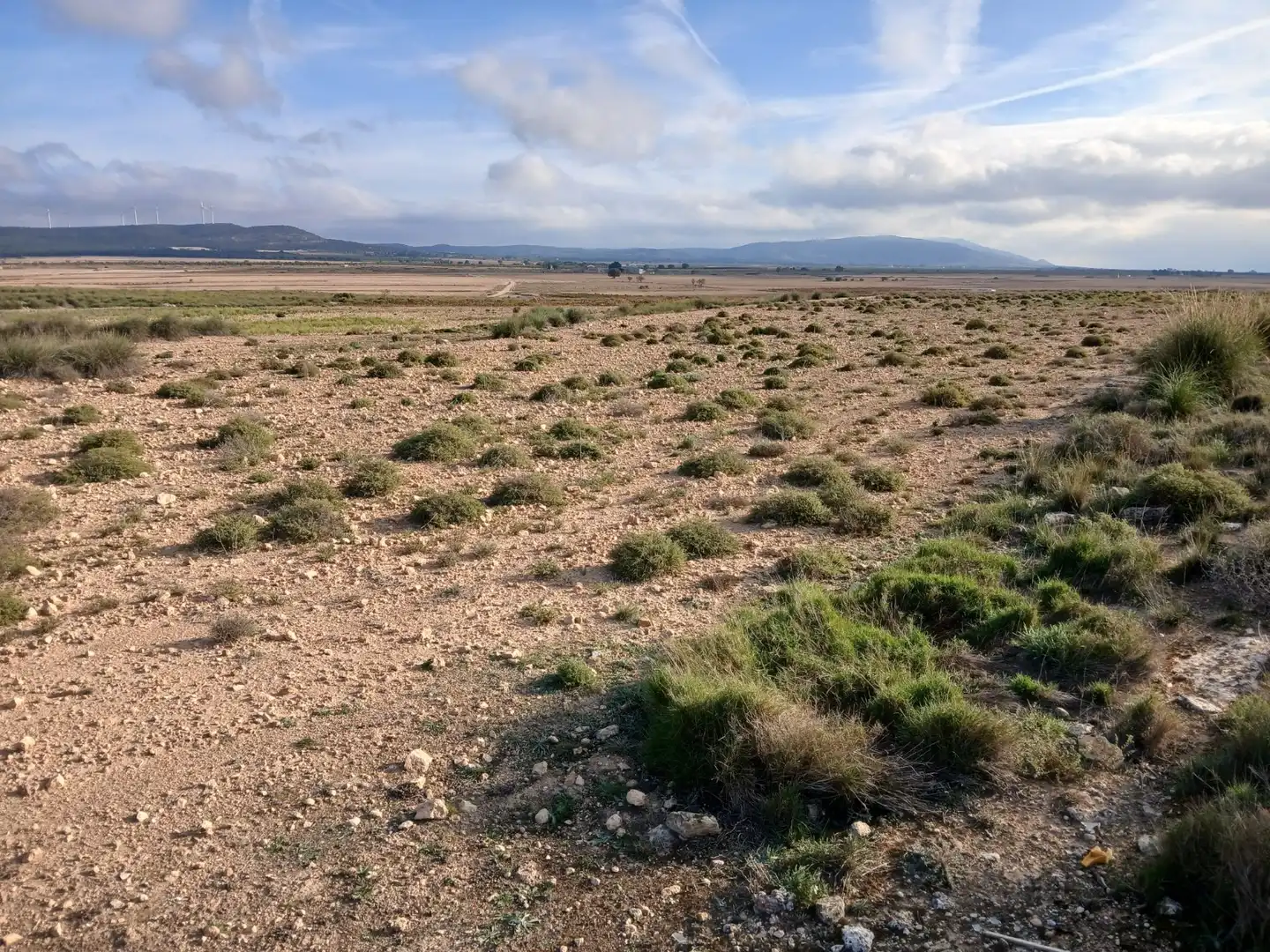 Residential land for sale in Yecla, imagen 5
