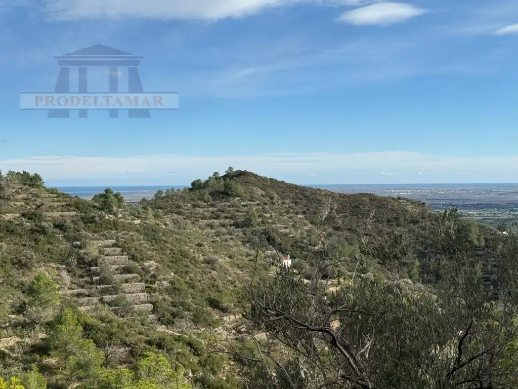 Country house for sale in Poligono 82 Paraje 6 Camp-Redo, imagen 6