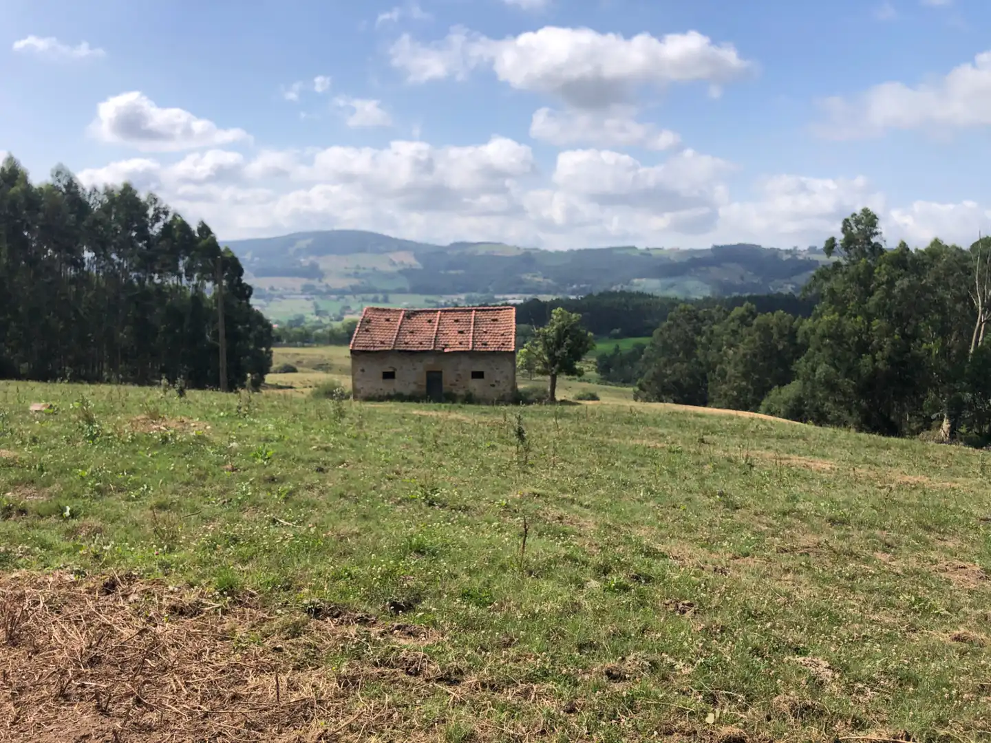 Finca rústica en venda en Villaescusa (Cantabria) amb Jardí privat