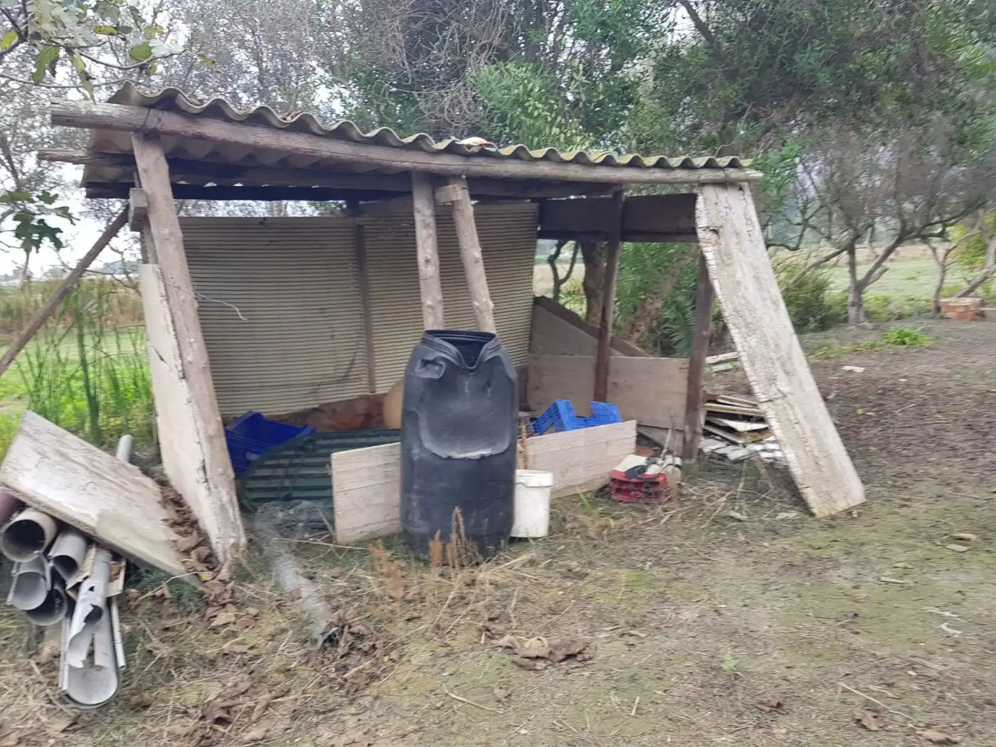 Maison rustique à vendre à Eucaliptus- Poble Nou del Delta, imagen 31