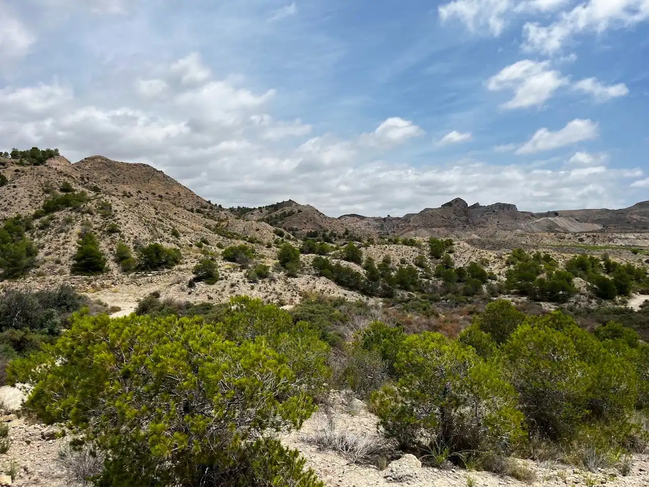 Rustikales Grundstück zum Verkauf in camino cascabel 11, imagen 5