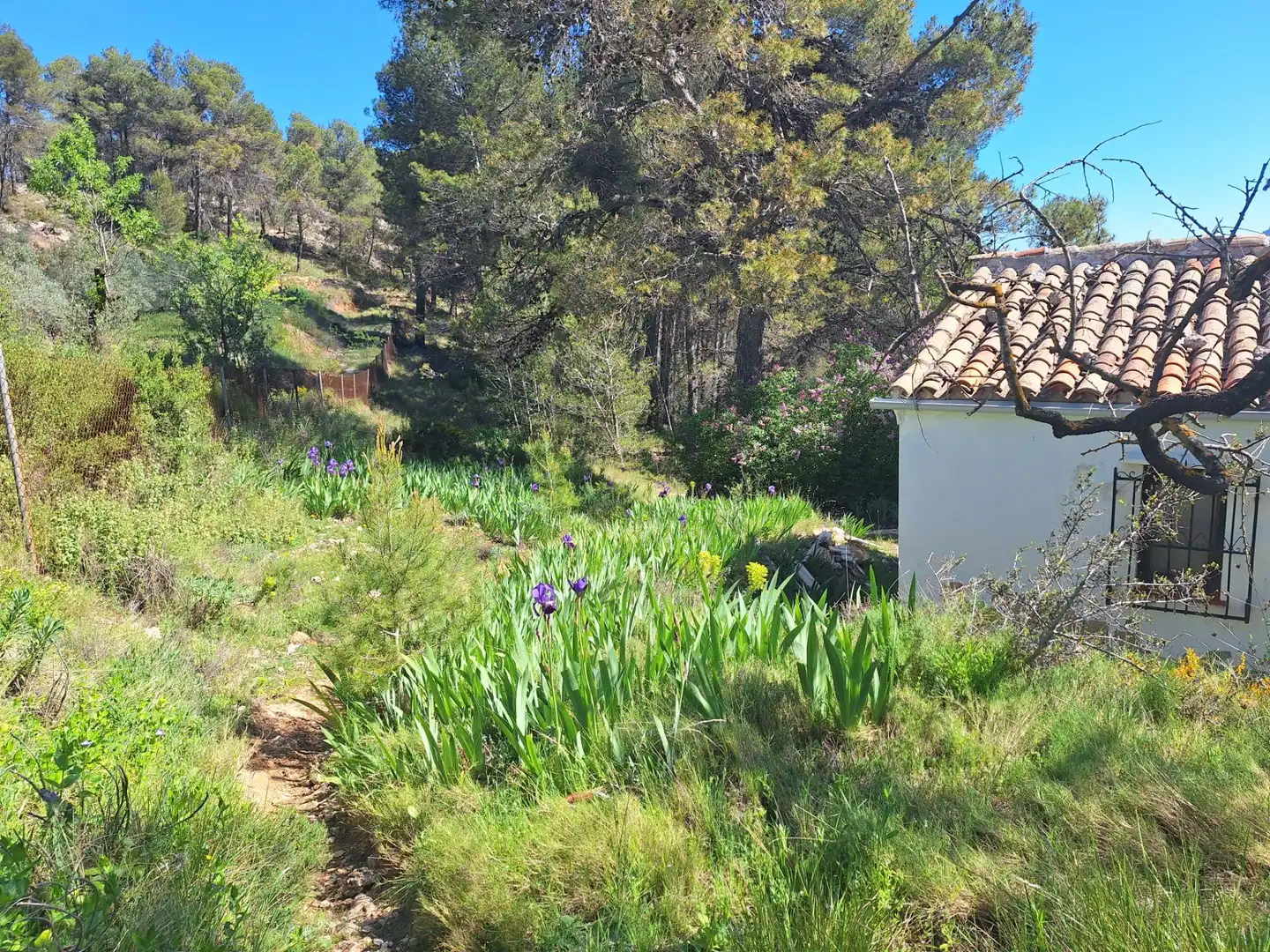 Finca rústica en venda en Alcoy / Alcoi amb Traster i Moblat