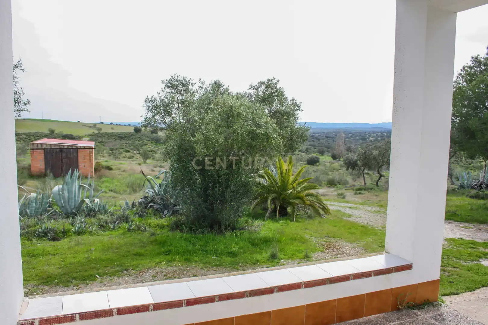 Garden of Land for sale in Azuaga