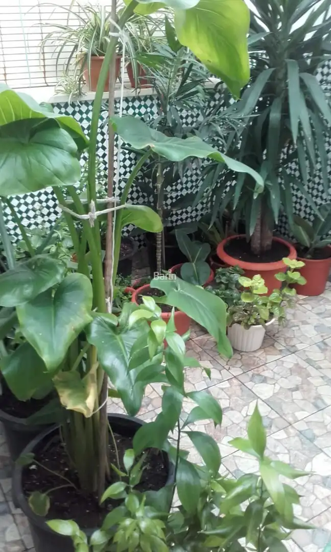 Casa o chalet en venta en La Victoria con Calefacción y Terraza