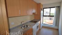 Kitchen of Flat for sale in  Lleida Capital  with Air Conditioner, Heating and Private garden
