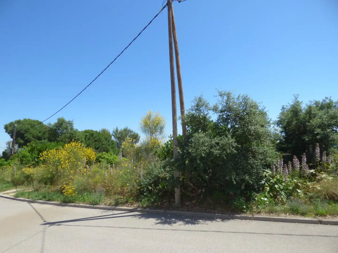 Residential land for sale in Palafolls, imagen 8