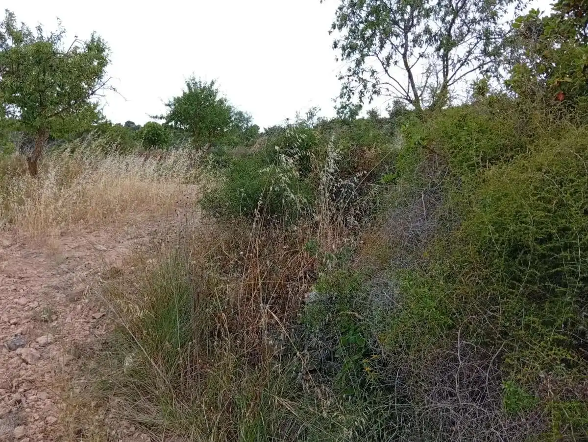 Piso en venta en Corbera d'Ebre, imagen 10