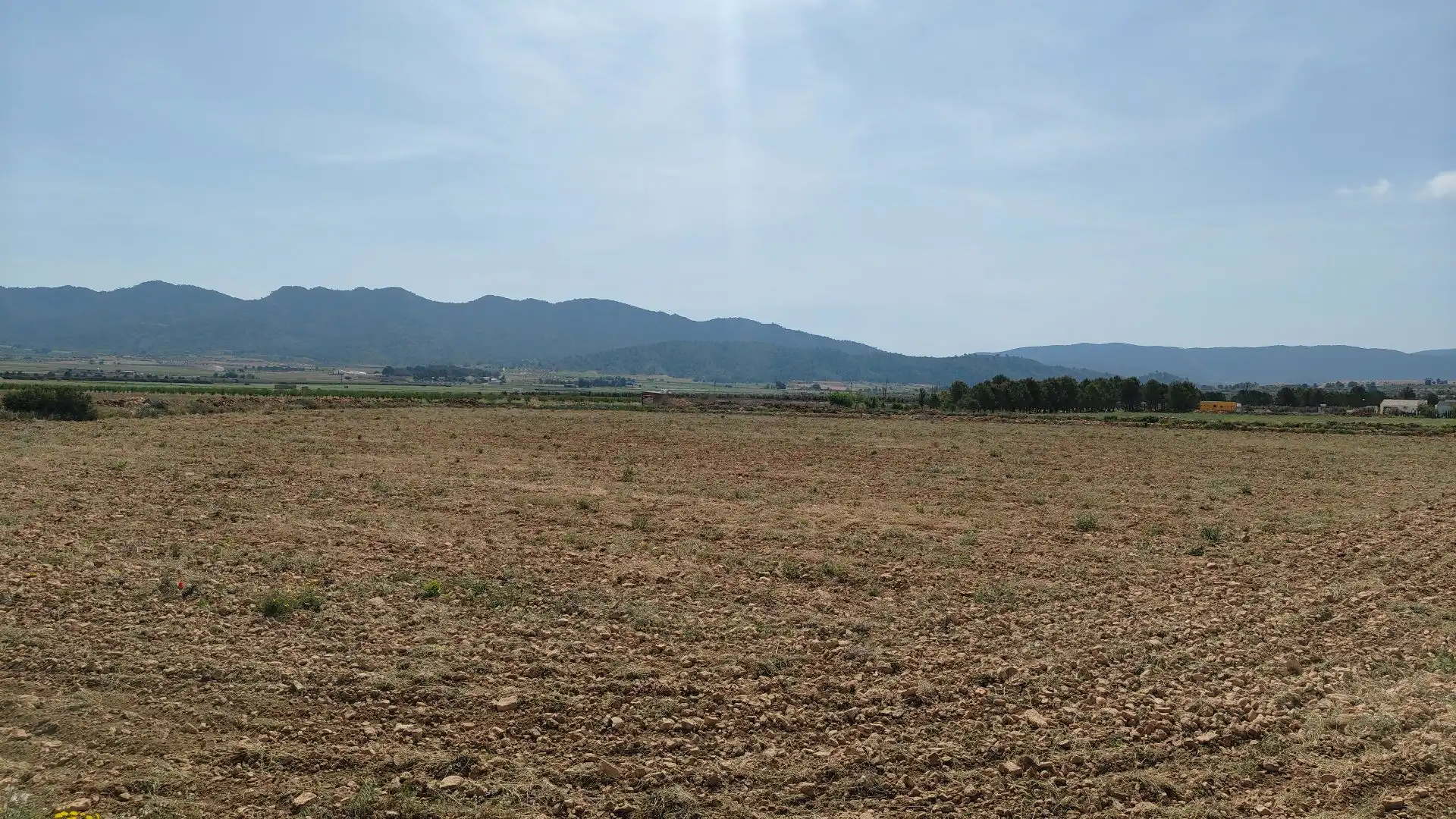 Terreni e lotti in vendita a Yecla, imagen 5