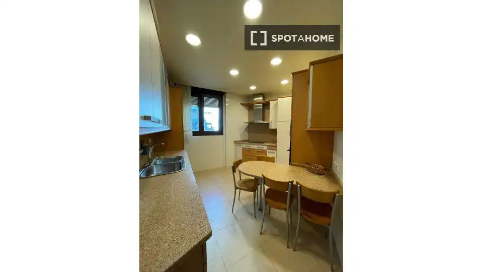 Cocina de Piso para compartir en Bilbao  con Aire acondicionado y Terraza
