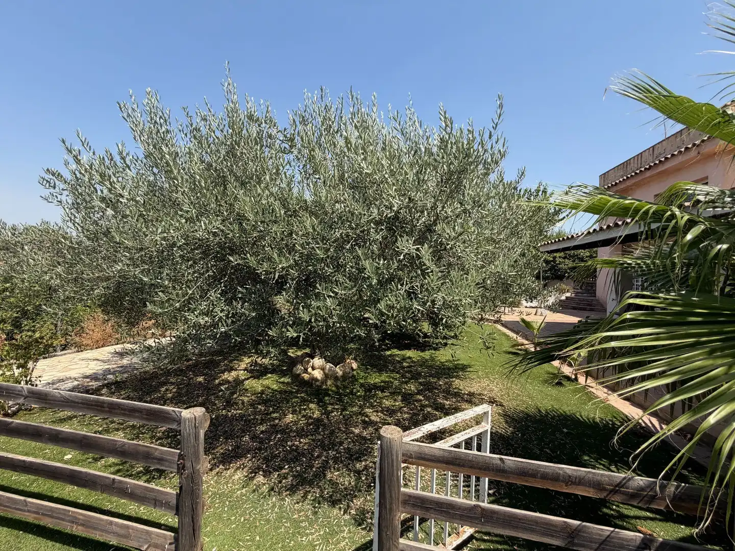 Jardí de Casa o xalet en venda en Esparreguera amb Aire condicionat, Calefacció i Jardí privat