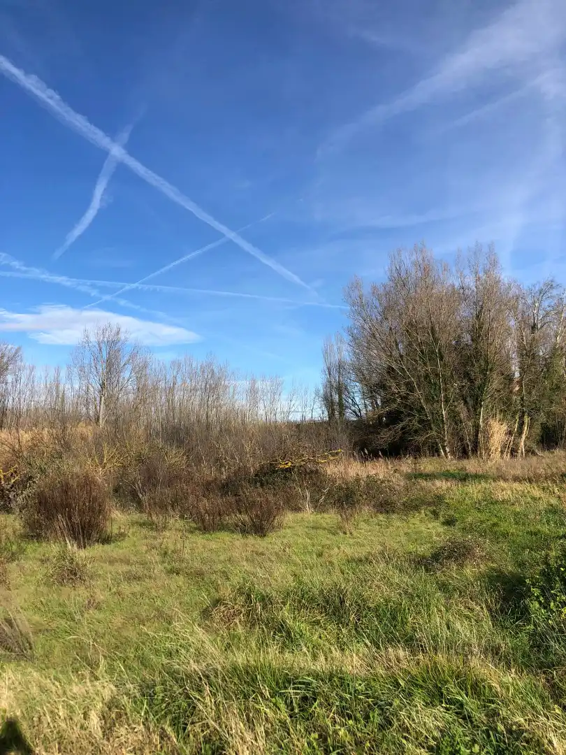 Terreni e lotti in vendita a Murillo de Río Leza, imagen 5