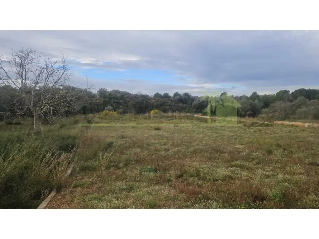 Wohnbaugrundstück zum Verkauf in Ulldecona, imagen 12