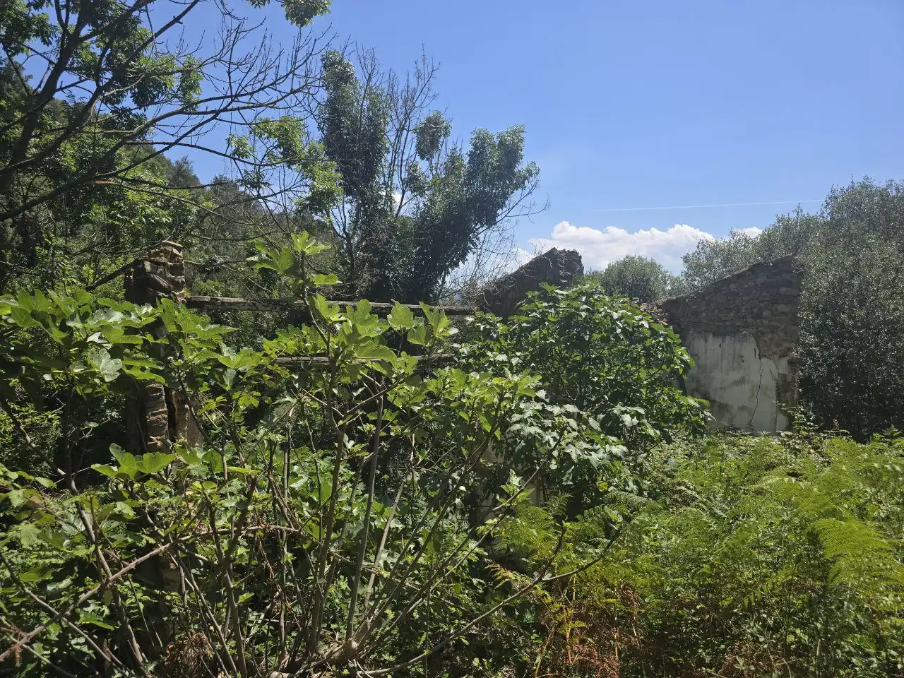 Maison à vendre à Susqueda, imagen 31