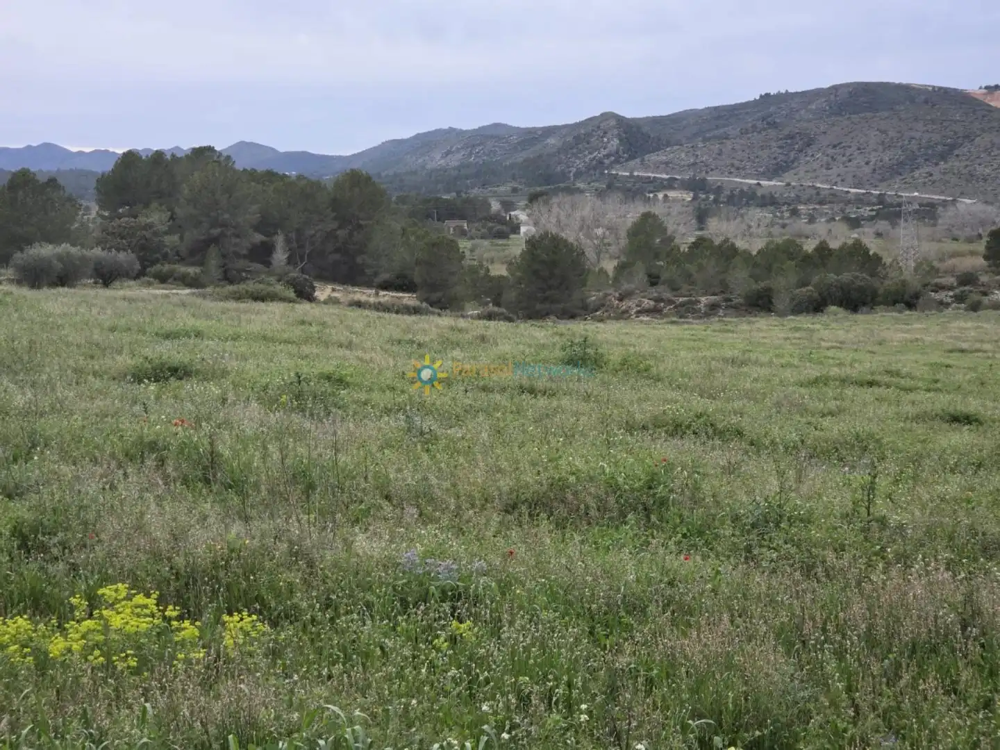 Land for sale in Benigànim