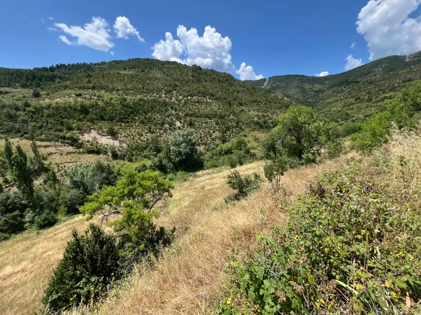 Country homes for sale in Aragüés del Puerto