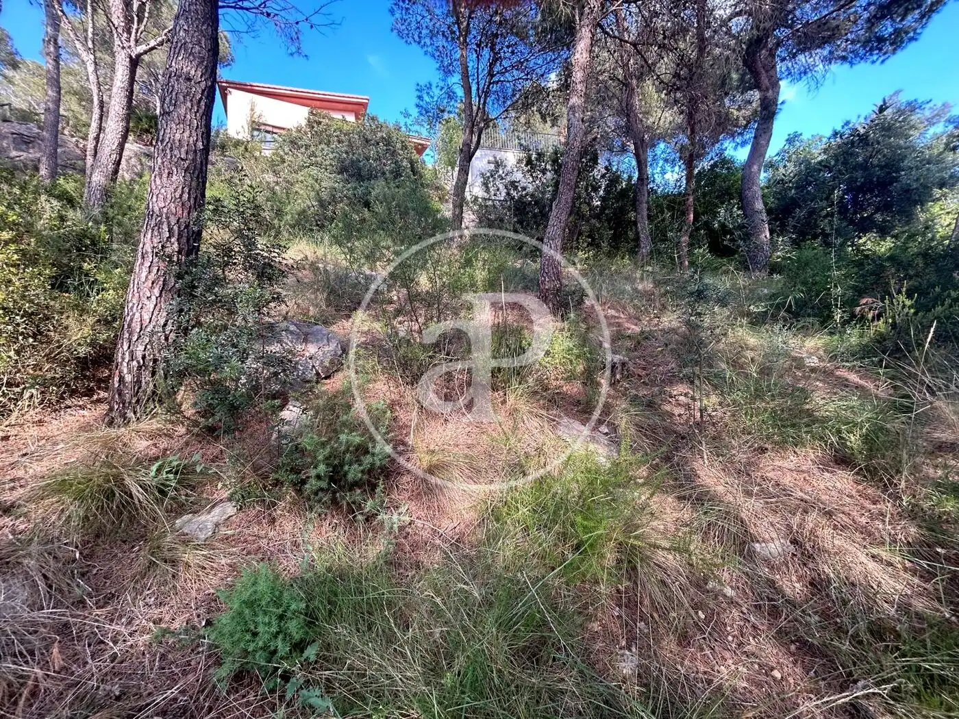 Wohnbaugrundstück zum Verkauf in El Bosque, imagen 14