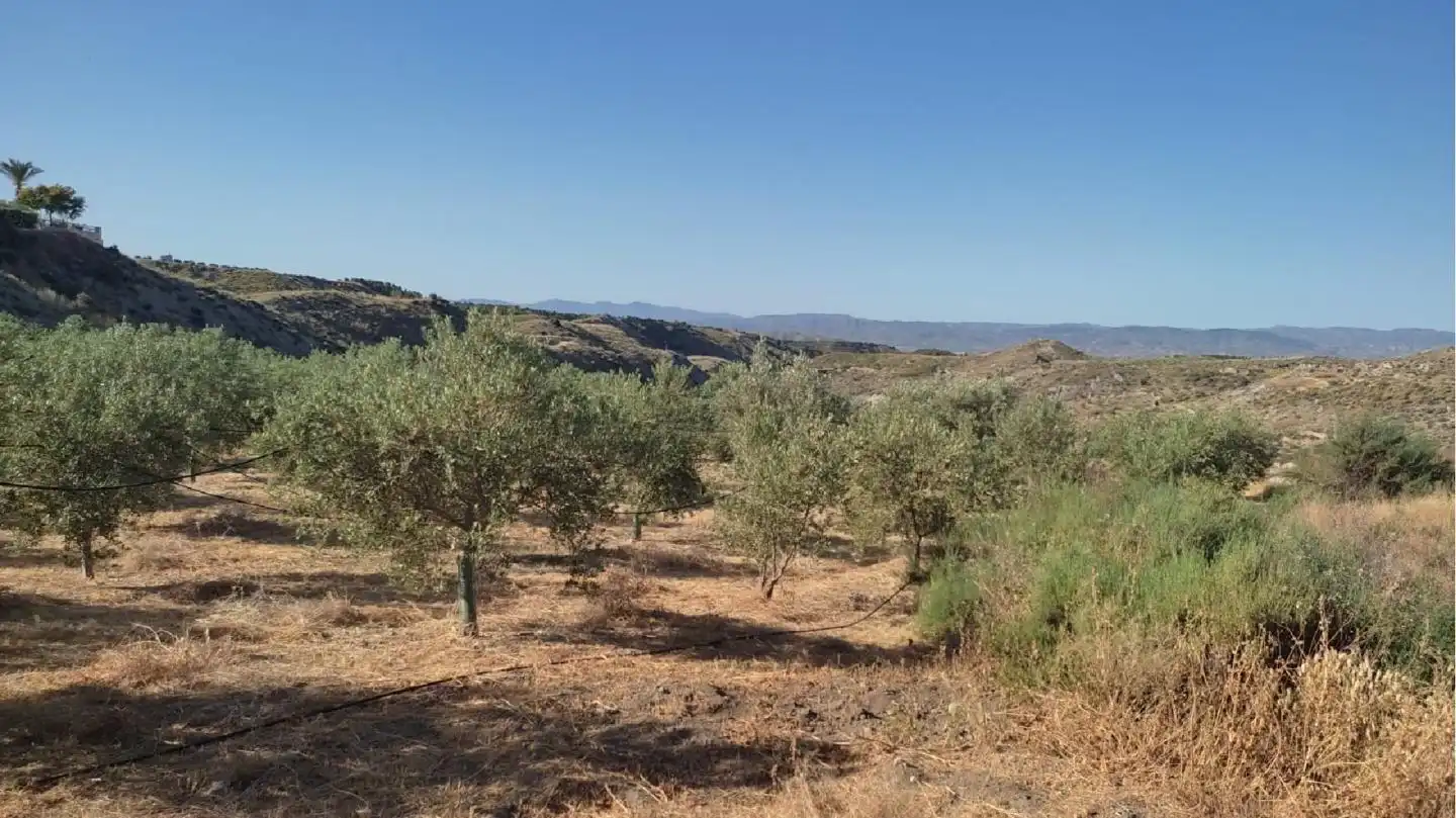 Lands and plots for sale in Huércal-Overa, imagen 2