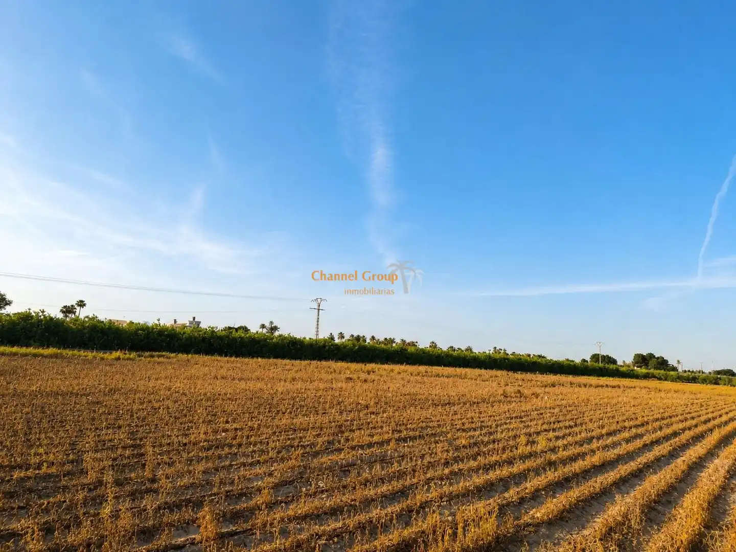 Land for sale in Elche / Elx