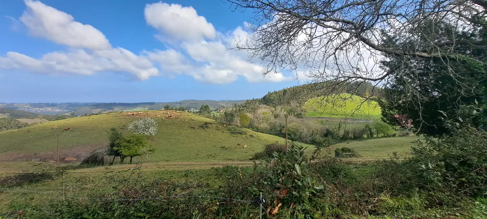 Terreno en venta en Soto del Barco - CAMINO LA CAPILLA - POBLADO LA CO, Soto del Barco