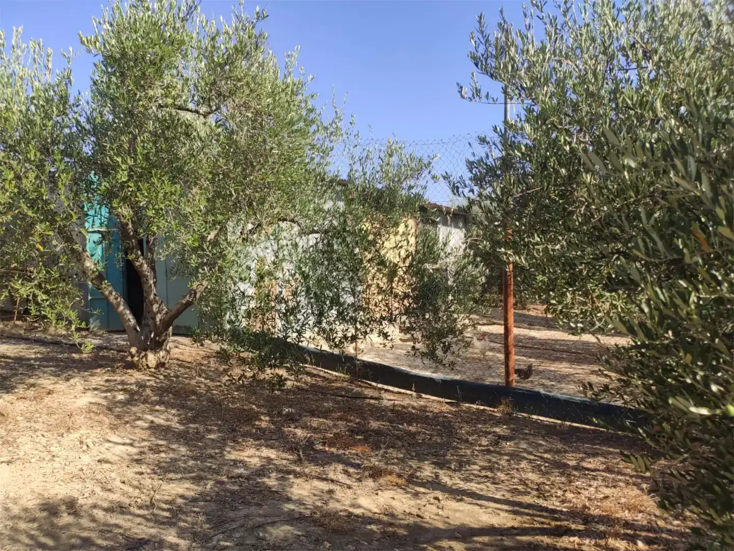 Finca rústica en venda en Guillena