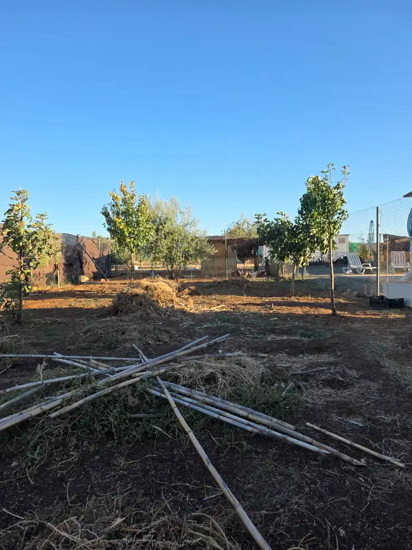 Rural land for sale in N/A, imagen 21