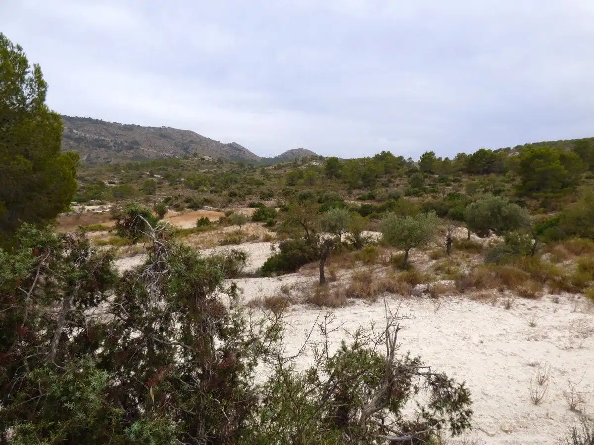 Terrenos y solares en venta en Fosamai, imagen 3
