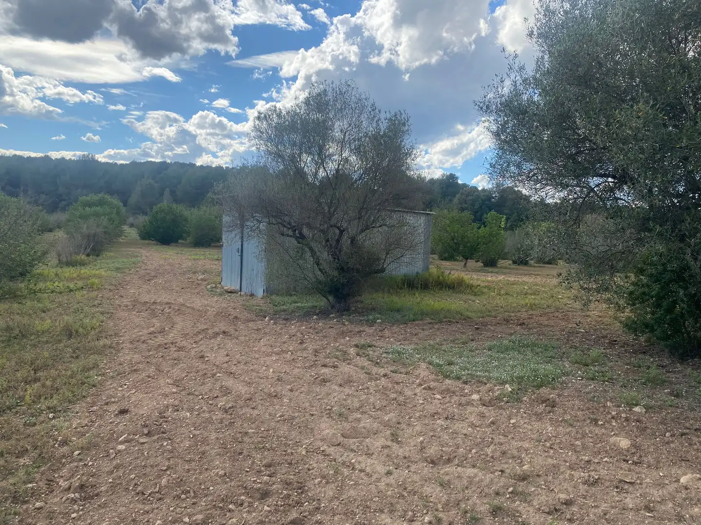 Terreno rustico in vendita a Perafort, imagen 11