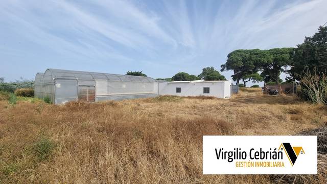 Finca rústica en Venta en Las Tres Piedras - Costa Ballena