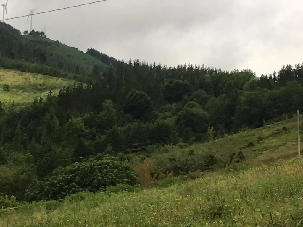Finca rústica en venda en Mallabia