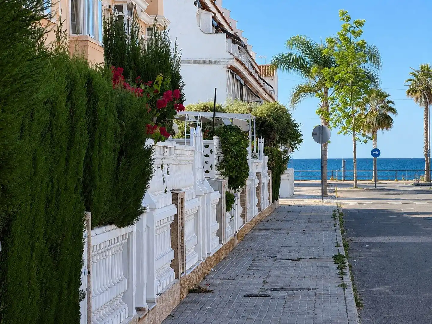 Ground floor with terrace to rent in Calle ARACELI, imagen 5
