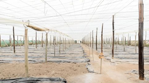 Foto 5 de Residencial en venda a Calle Carchuna, Calahonda - Carchuna, Motril