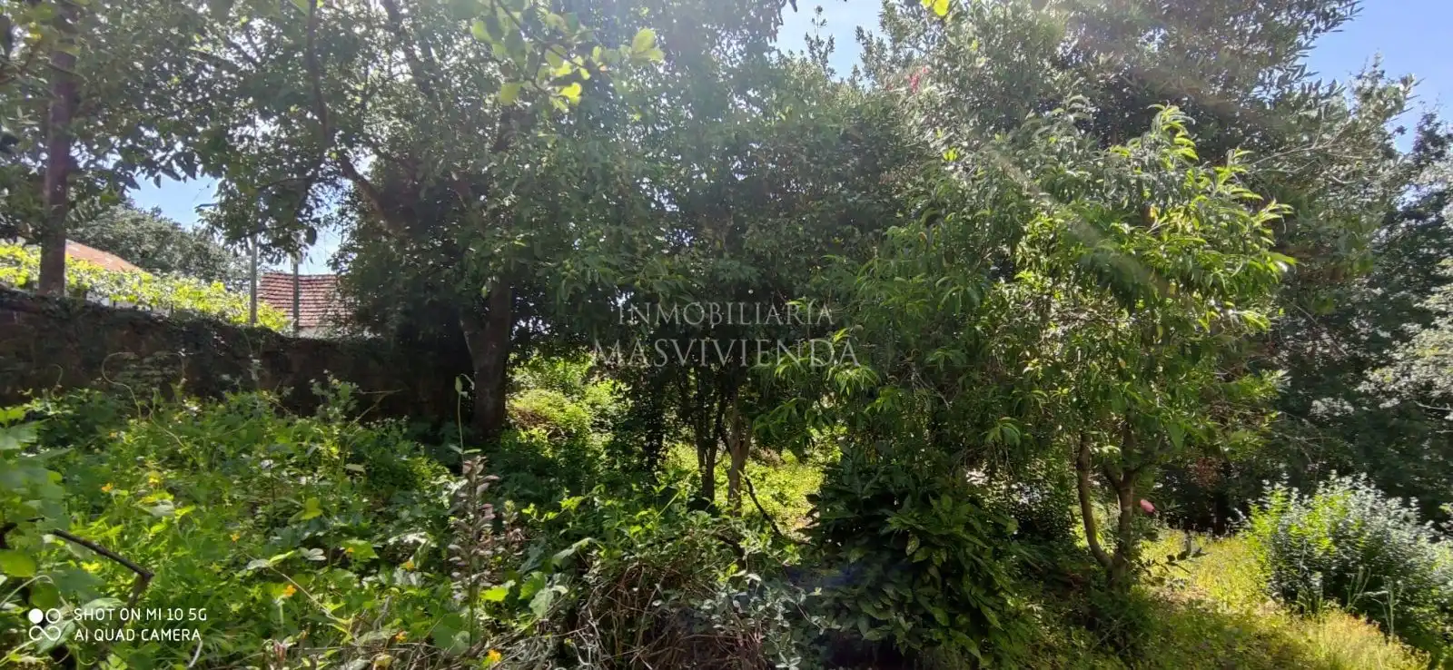 Casa con jardín en venta en Del Val, imagen 46