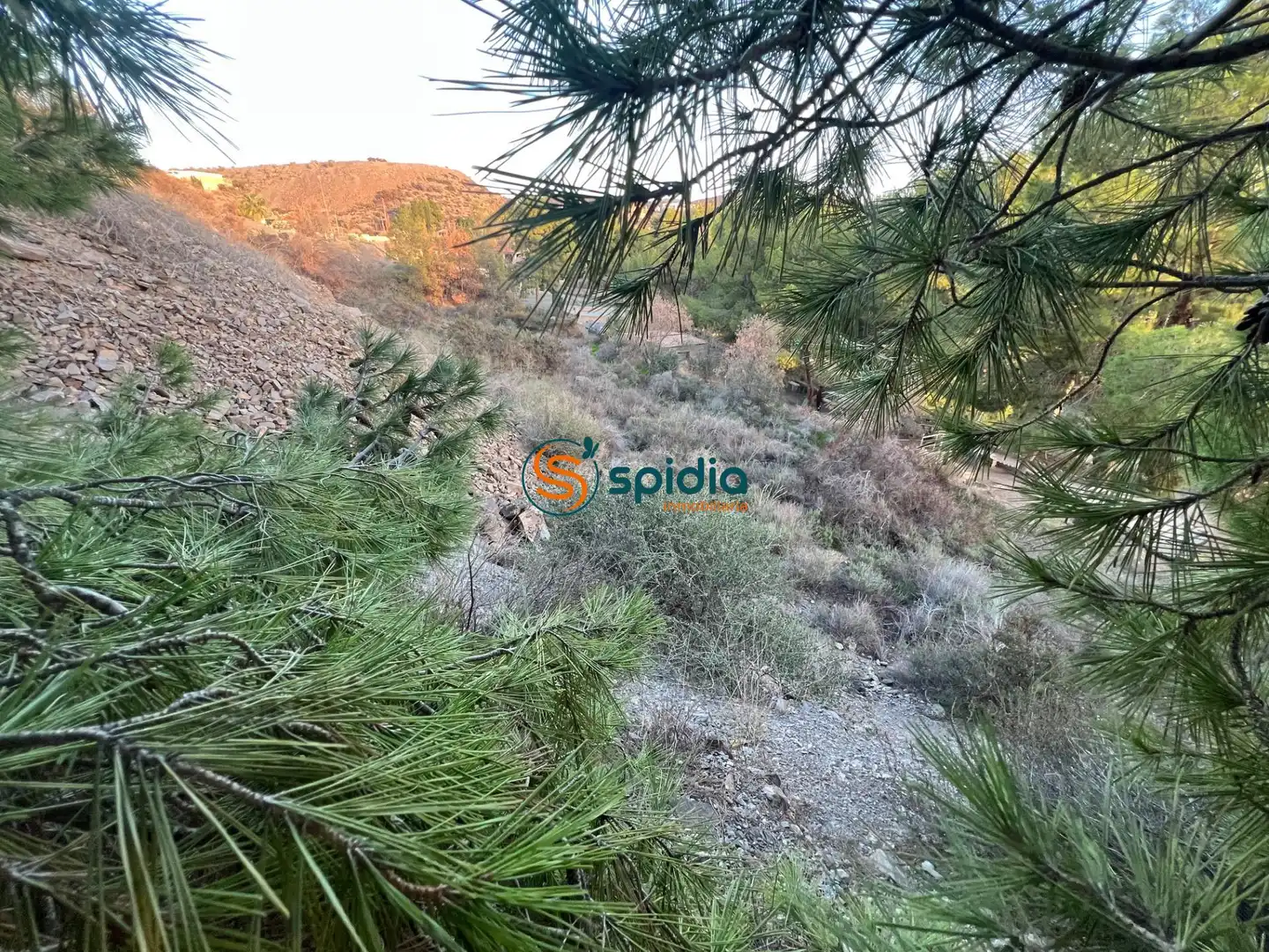 Terreny residencial en venda a Tébar - Los Arejos, imagen 4
