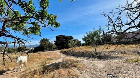 Parcela en venta en Benidorm, imatge 3