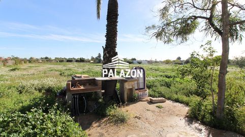 Parcela rústica en venta en Crevillente Alicante, imatge 5