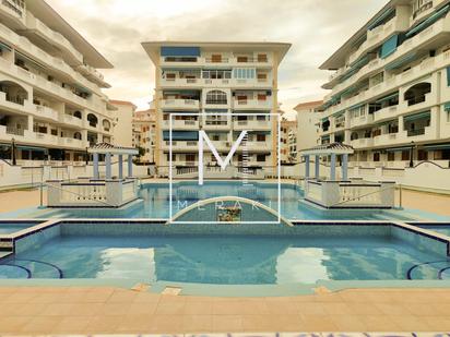 Swimming pool of Flat for sale in Torrevieja  with Terrace and Balcony