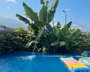 Piscina de Casa o xalet en venda en La Matanza de Acentejo amb Jardí privat, Terrassa i Traster