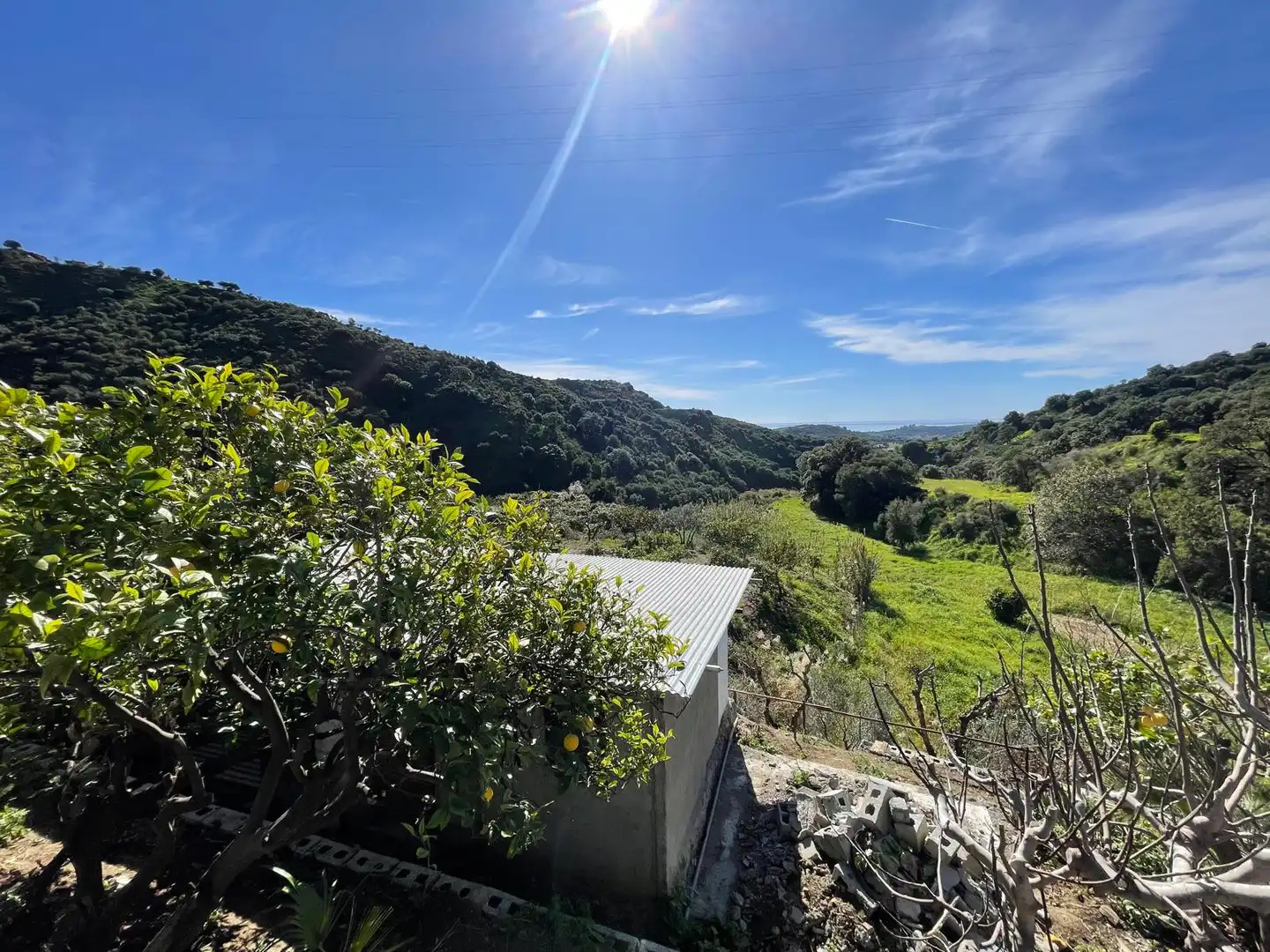 Finca rústica en venta en Altos de Estepona