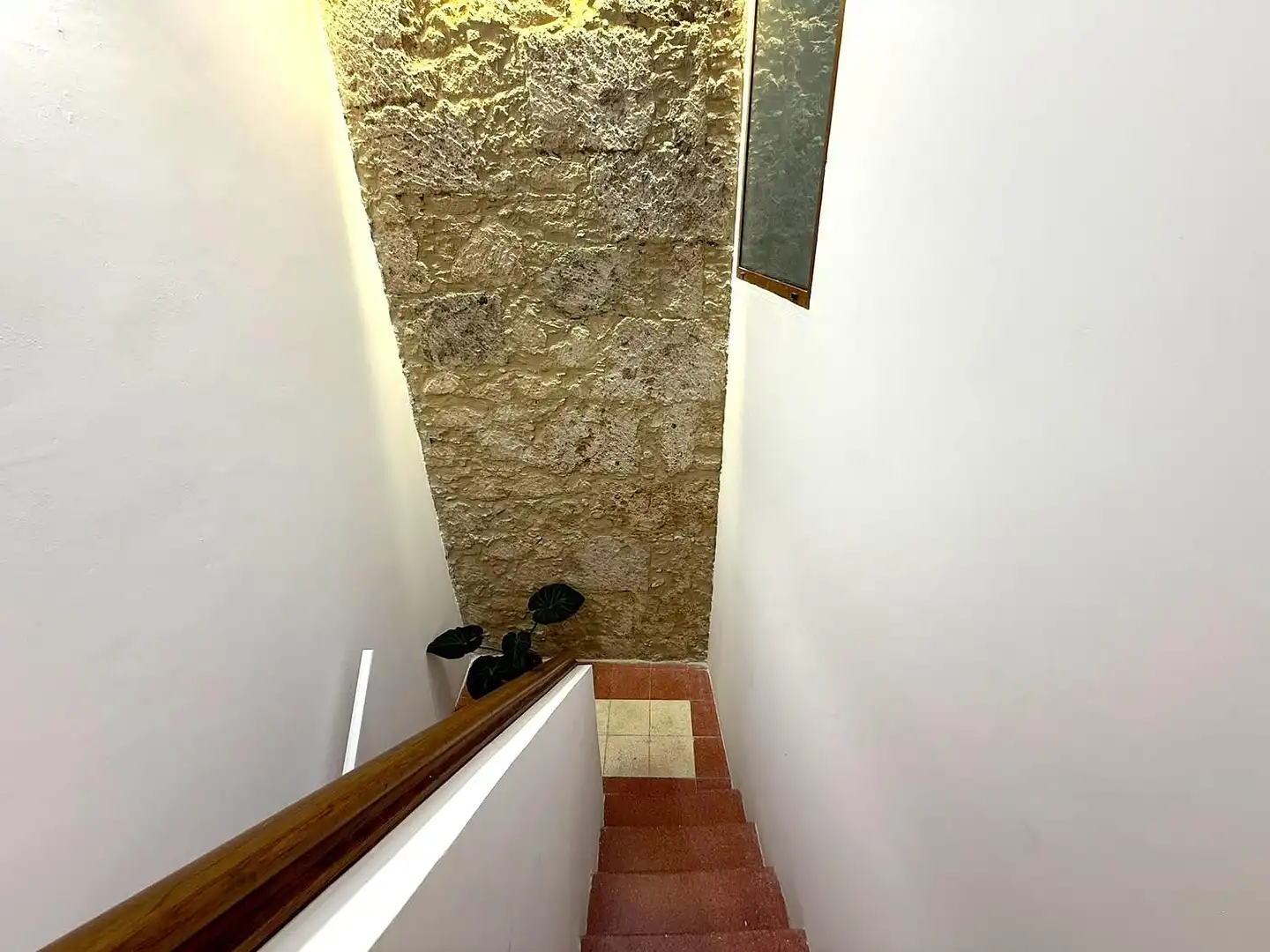 Apartments for rent in Telde