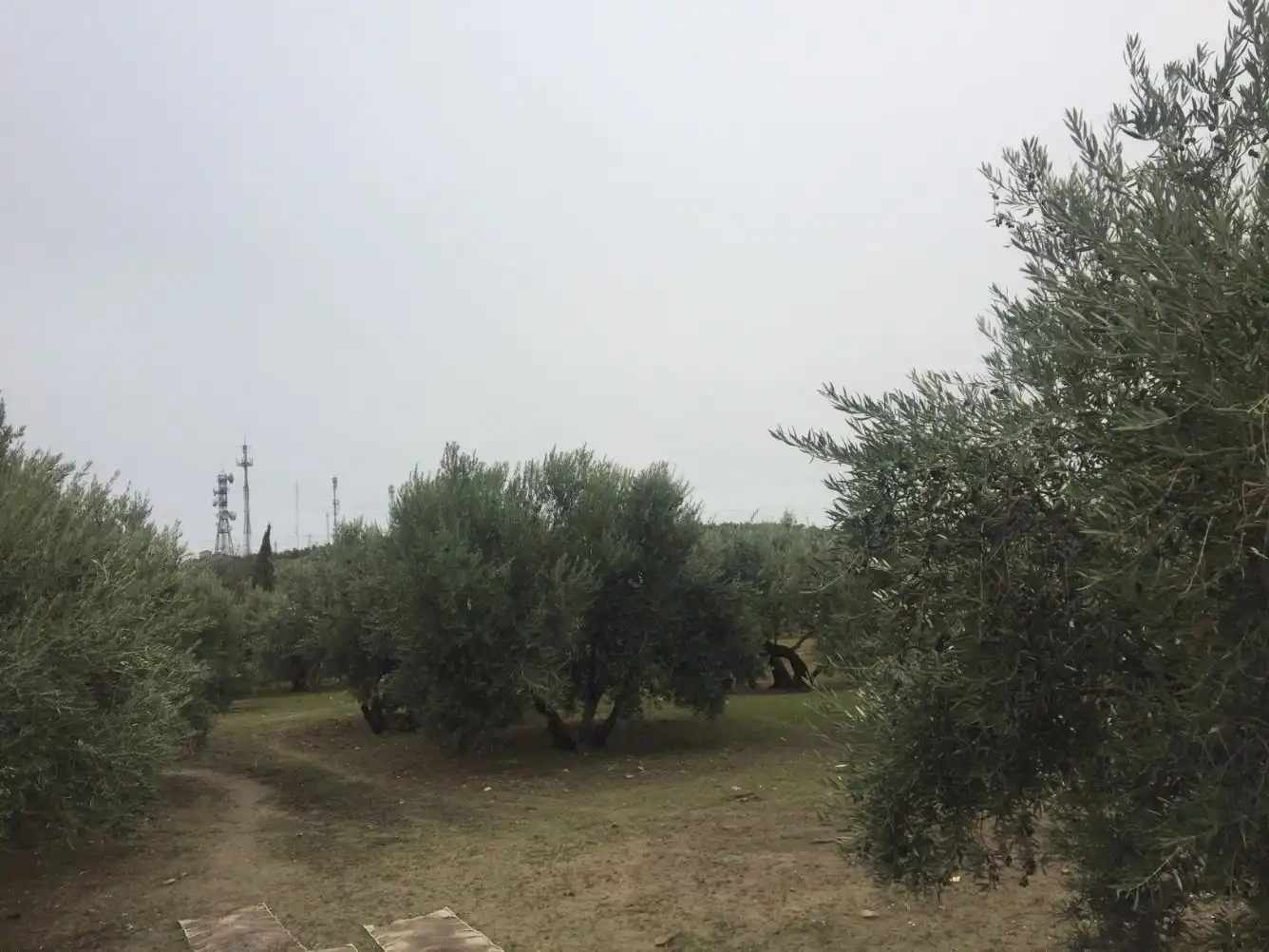 Terrenos y solares en venta en Úbeda, imagen 7