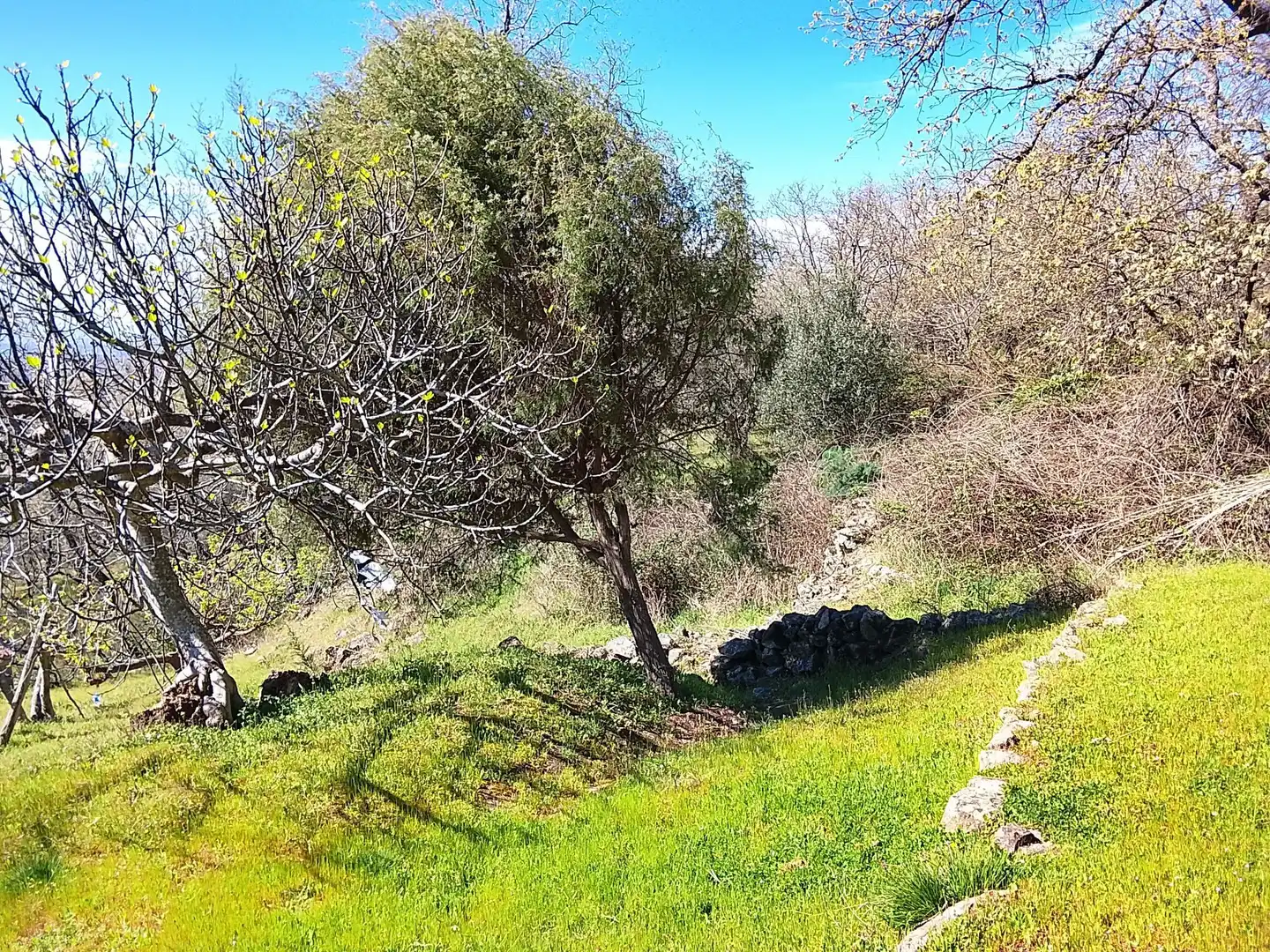 Terreni e lotti in vendita a Candeleda, imagen 50